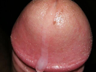 Screen Shot of penegordocam