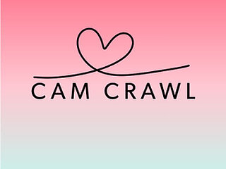 Screen Shot of camcrawl