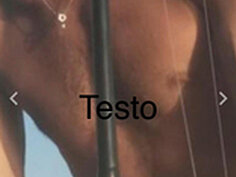 Screen Shot of Zorro2024