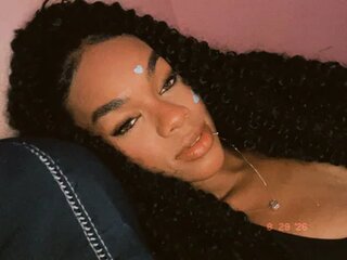 Screen Shot of MIMICAMM